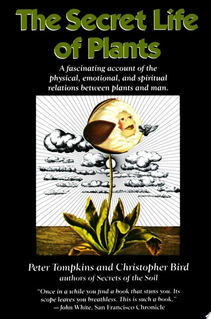 The cover features a central illustration of a plant with human characteristics, surrounded by an abstract background of clouds and rays, exuding a mystical aura. The visual style blends realism with surrealism.