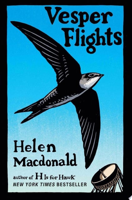 The cover prominently features a large bird in mid-flight, set against a gradient blue sky. The positioning creates a dynamic sense of movement and freedom, drawing the viewer's eye towards the focal point.