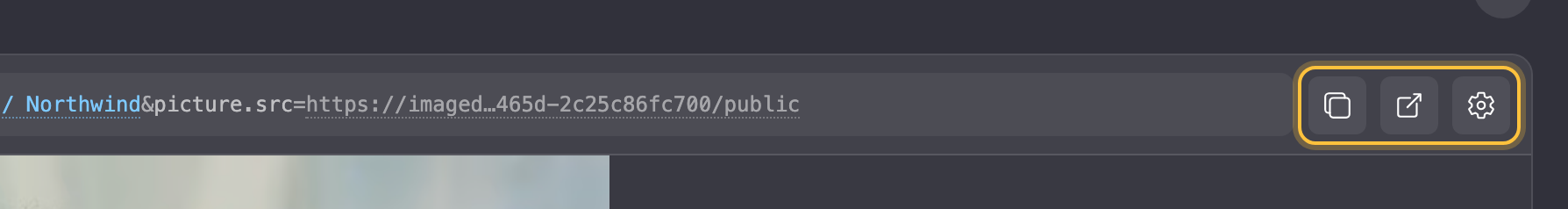 Right end of the URL bar in the Image URL tab with the icons Copy URL, Open in a new tab and the gear highlighted.