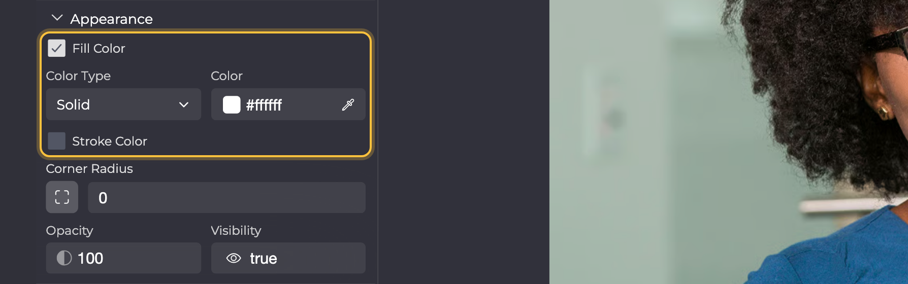 Abschnitt Appearance eines Rechtecks: Fill Color angehakt, darunter Color Type und Color, Stroke Color nicht angehakt; beide Checkboxen sind markiert.
