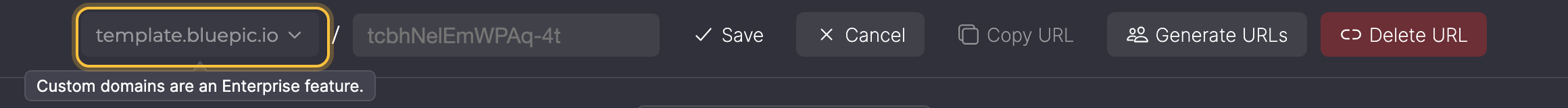 Edit URL with the domain dropdown greyed out and the tooltip Custom domains are an Enterprise feature.