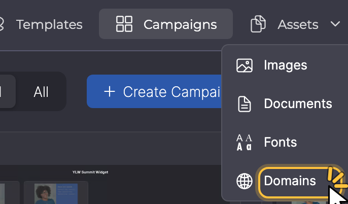 Assets menu with Domains highlighted.