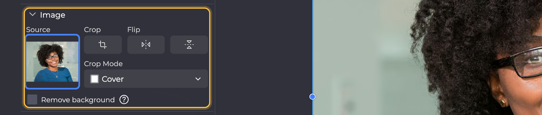 Image section of a selected photo: Source preview, Crop, the two Flip buttons, Crop Mode and Remove background, highlighted as one area.