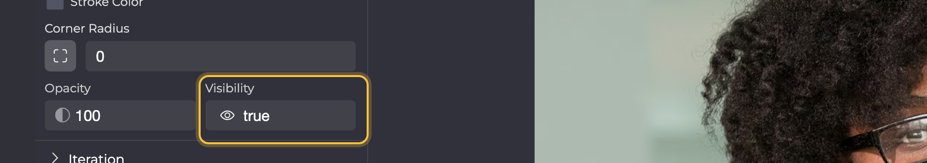 Appearance section of a selected rectangle with the Visibility property highlighted, next to Opacity.