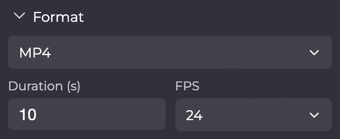 Format section with MP4, Duration (s) and FPS.