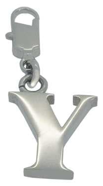 Y - Initial (SS)