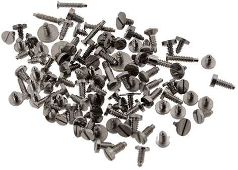 Stainless Steel Movement Screws, Indian