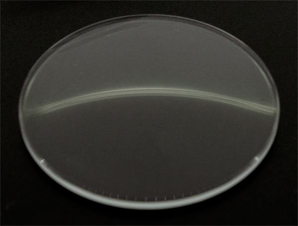 AR 3019, Ø29.15mm