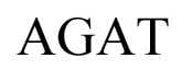 Agat Movement Parts
