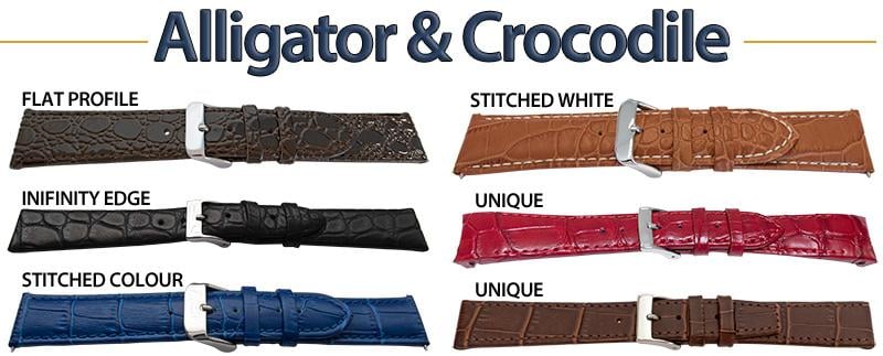 Alligator & Crocodile