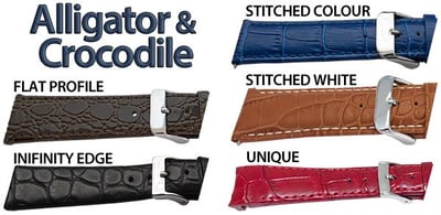 Alligator & Crocodile