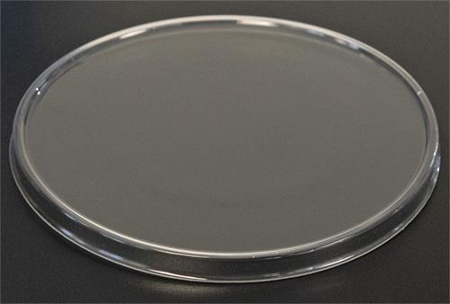 Plastic Lid