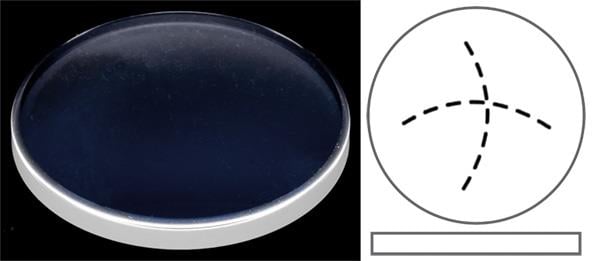 Ø22.80mm (H3.85mm x T1.90mm) Breitling Cockpit Lady, Galactic