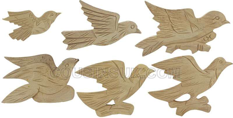 Birds
