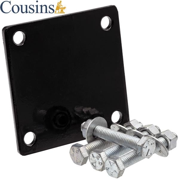 Plate and screws