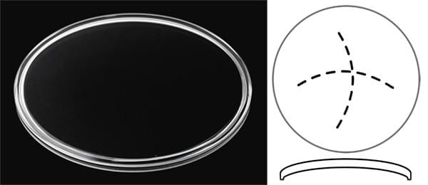 Ø34.80mm (Ø34.60mm x Pan) Chopard L.U.C. Twist