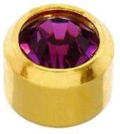 February (Amethyst) Studs