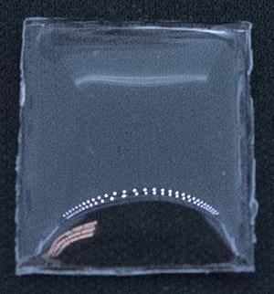 BCL Fancy 20.0 x 16.0