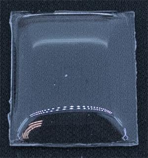 BCL Fancy 21.0 x 17.0