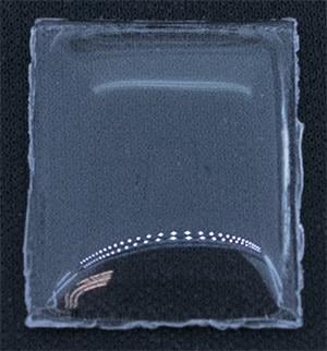 BCL Fancy 22.0 x 17.0