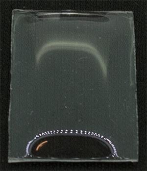 BCL Fancy 25.0 x 17.0