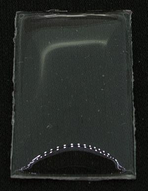 BCL Fancy 28.0 x 17.0
