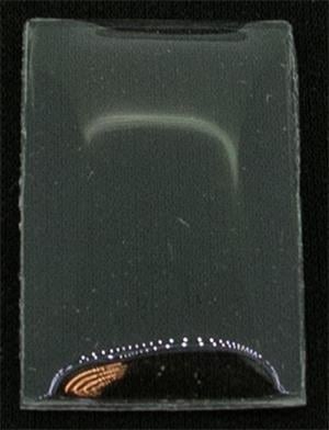 BCL Fancy 29.0 x 17.0