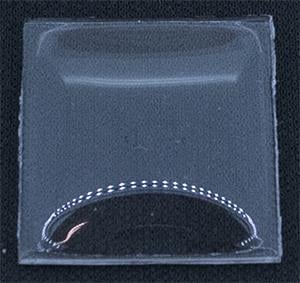 BCL Fancy 21.0 x 19.0