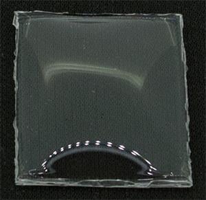 BCL Fancy 23.0 x 19.0