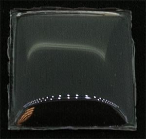 BCL Fancy 23.0 x 20.0