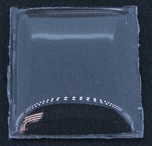 BCL Fancy 26.0 x 22.0