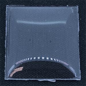 BCL Fancy 24.0 x 21.0