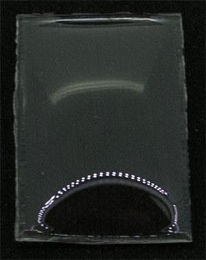 BCL Fancy 22.0 x 14.0
