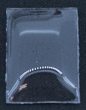 BCL Fancy 22.0 x 15.0