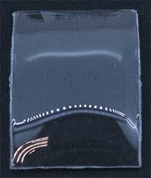 BCL Fancy 34.0 x 24.0