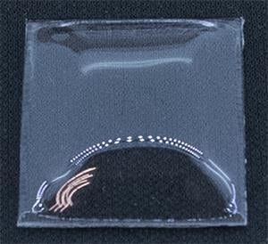 BCL Fancy 21.0 x 20.0