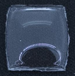 BCL Fancy 14.0 x 12.0