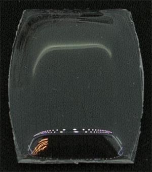 BCL Fancy 24.0 x 18.0