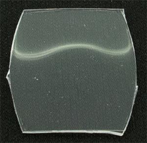 BCL Fancy 24.0 x 20.0