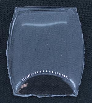 BCL Fancy 28.0 x 20.0