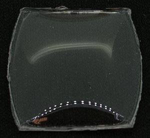 BCL Fancy 24.0 x 22.0