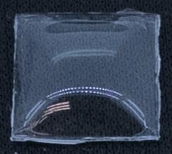 BCL Fancy 10.0 x10.0