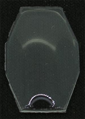 23.0 x 14.0 BCL, File to Fit