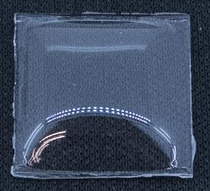 BCL Fancy 15.0 x 15.0