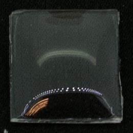 BCL Fancy 15.0 x 12.0