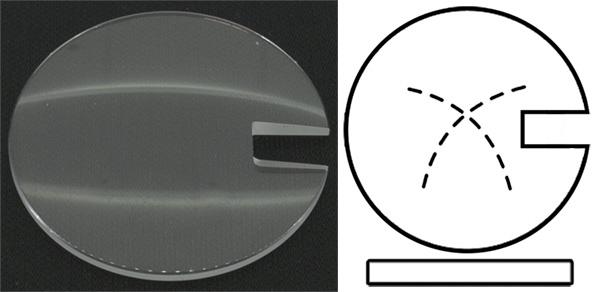 Ø29.60mm (H2.50mm x T1.20mm) Gucci