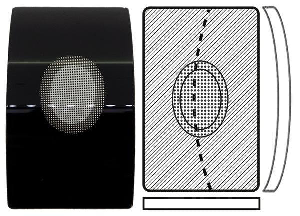 Rectangular 51.00mm x 29.50mm (H11.50mm x T1.20mm) Calvin Klein, Black