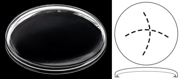 Ø33.00mm (H4.70mm) ORIS Big Crown Pointer Date