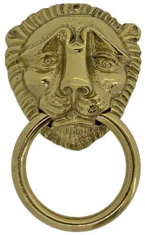 Lion Head Style