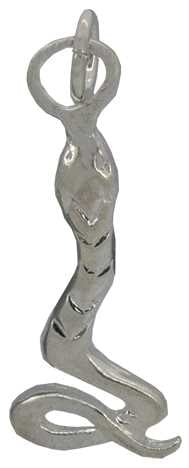 Snake Silver Charm